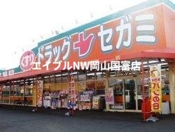 ドラックストア　ドラッグセガミツシマモール店（ドラッグストア）まで1127m