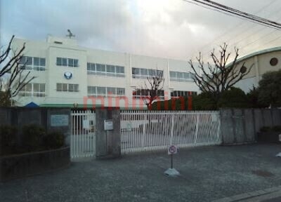 小学校　茨木市立白川小学校（小学校）まで289m