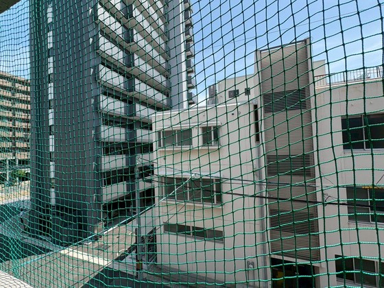 眺望　※別部屋の写真です