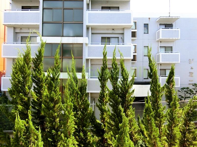 眺望　ヴァリー深井