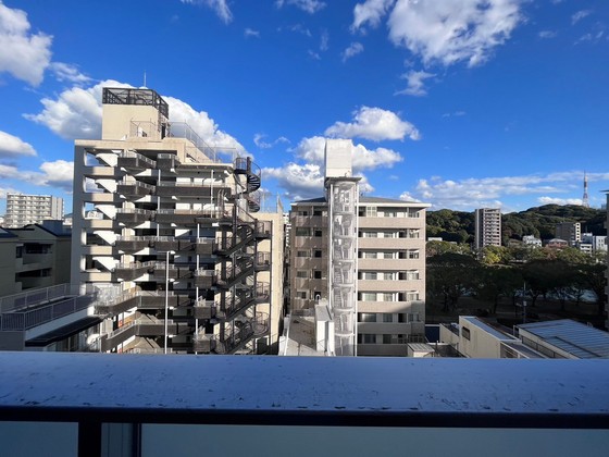 眺望　※別部屋の写真です