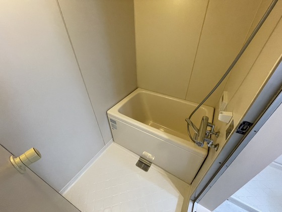 バス・シャワールーム　※別部屋の写真です