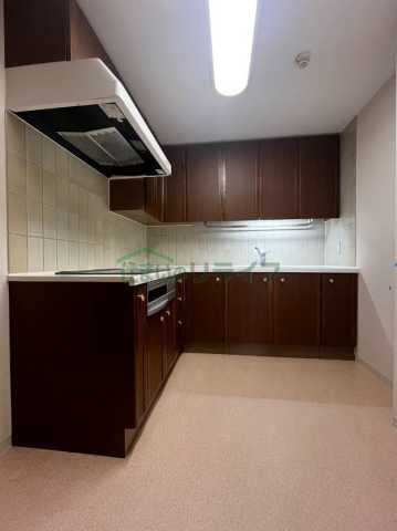 キッチン　西早稲田パークタワー / 507