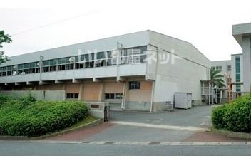 中学校　下関市立向洋中学校（中学校）まで1500m