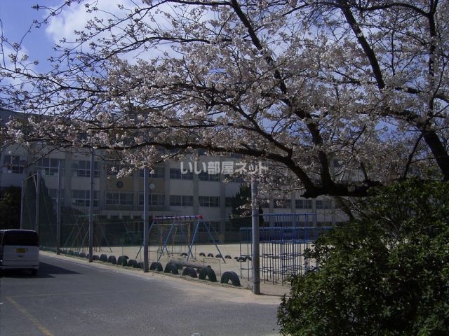 小学校　下関市立向山小学校（小学校）まで800m