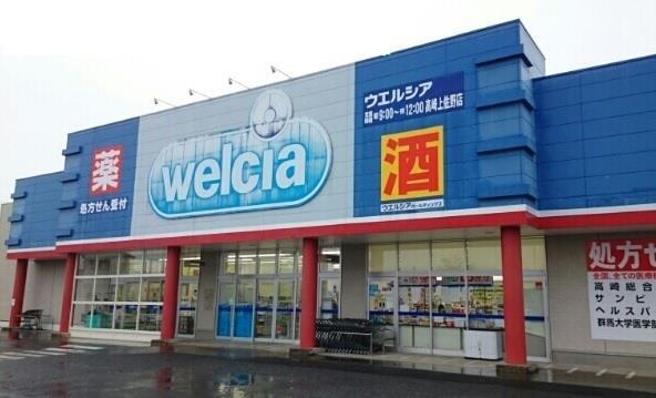 ドラックストア　ウエルシア高崎上佐野店（ドラッグストア）まで1300m