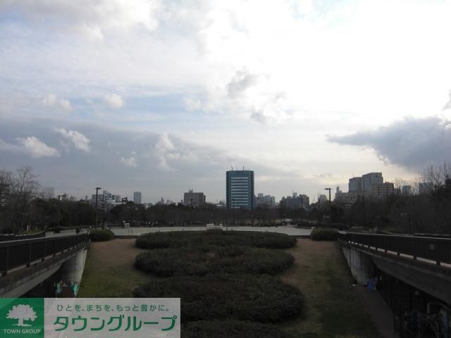 公園　木場公園（公園）まで1100m