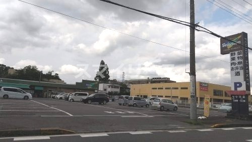 スーパー　FOODS MARKET Selection(フーズマーケッ（スーパー）まで497m