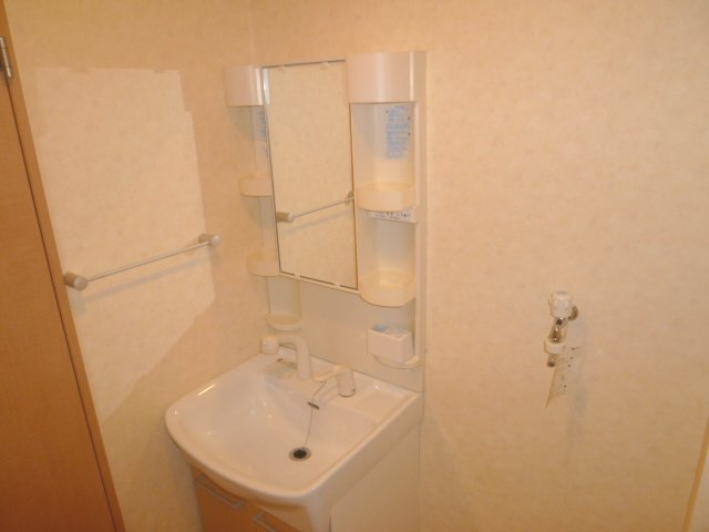 洗面設備　2010年11月撮影