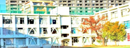小学校　新宿区立柏木小学校（小学校）まで80m