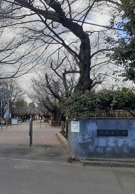 公園　羽根木公園（公園）まで500m