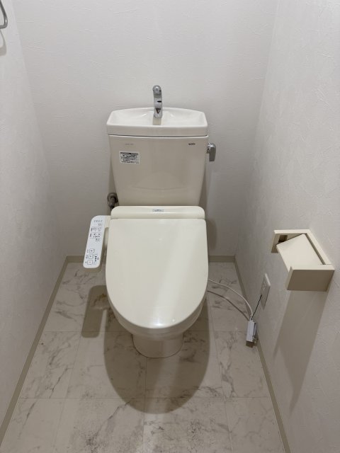 トイレ　同物件、別号室のものです。