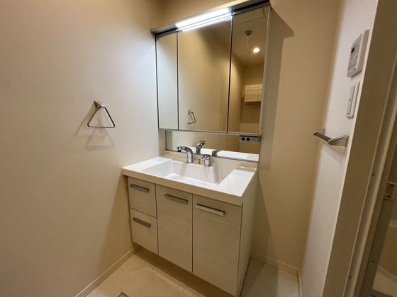 洗面設備　※別部屋の写真です