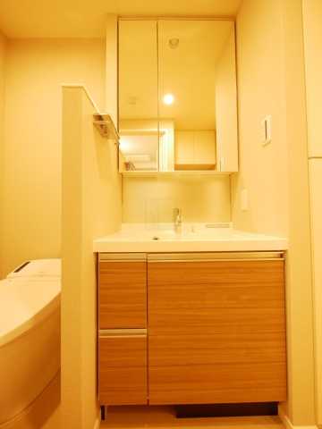 洗面設備　ルフォンプログレ南大塚の洗面所