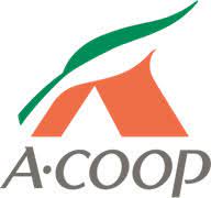 スーパー　Aコープ あらき店（スーパー）まで372m