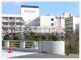 大学・短大　私立神戸女子大学須磨キャンパス（大学・短大）まで1169m