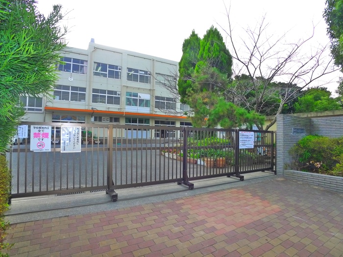 小学校　南新浜小学校（小学校）まで480m