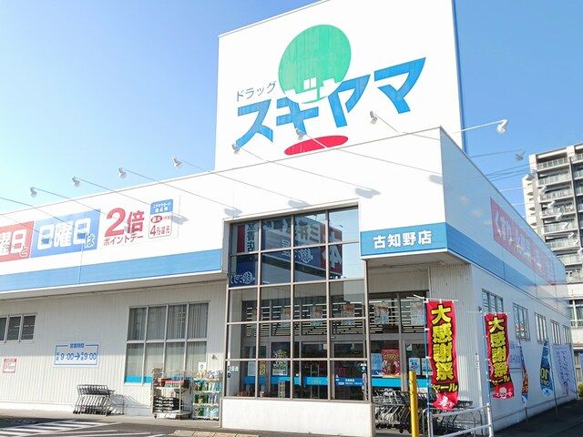 ドラックストア　ドラッグスギヤマ　古知野店（ドラッグストア）まで350m