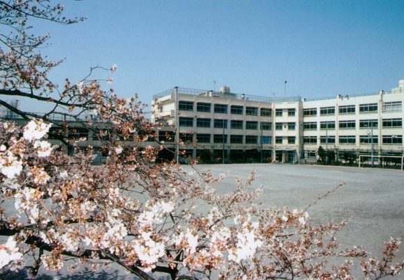 中学校　板橋第二中学校（中学校）まで184m