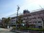 小学校　宝塚市立　末成小学校（小学校）まで224m