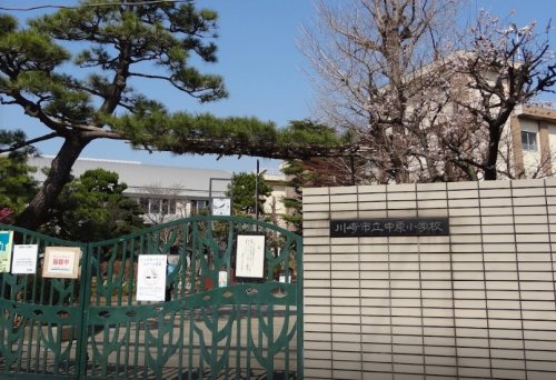 小学校　川崎市立中原小学校（小学校）まで408m