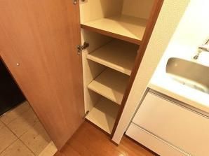 その他設備　（別タイプ参考写真）日神デュオステージ池袋　豊島区池袋２