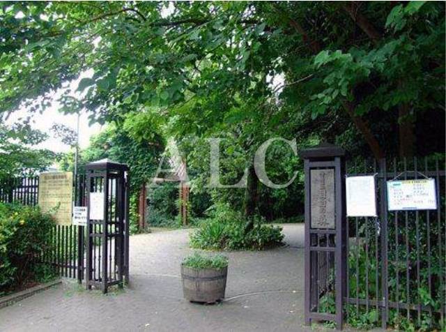 公園　目白の森（公園）まで351m