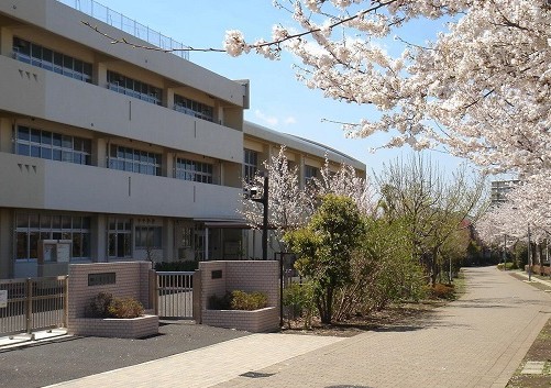 中学校　横浜市立東山田中学校（中学校）まで718m