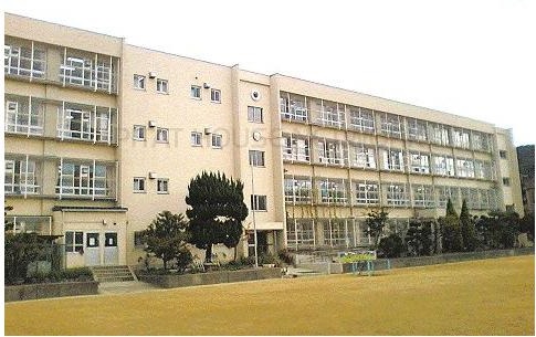 小学校　大東市深野小学校（小学校）まで1121m