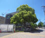 大学・短大　京都先端科学大学（太秦）（大学・短大）まで1364m