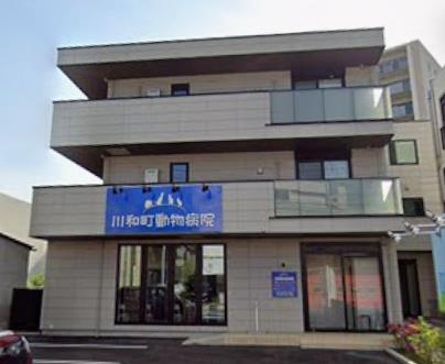 病院　川和町動物病院（病院）まで83m