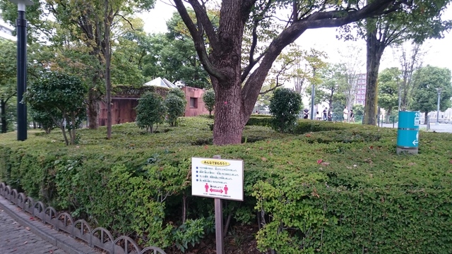 公園　川口西公園（公園）まで919m