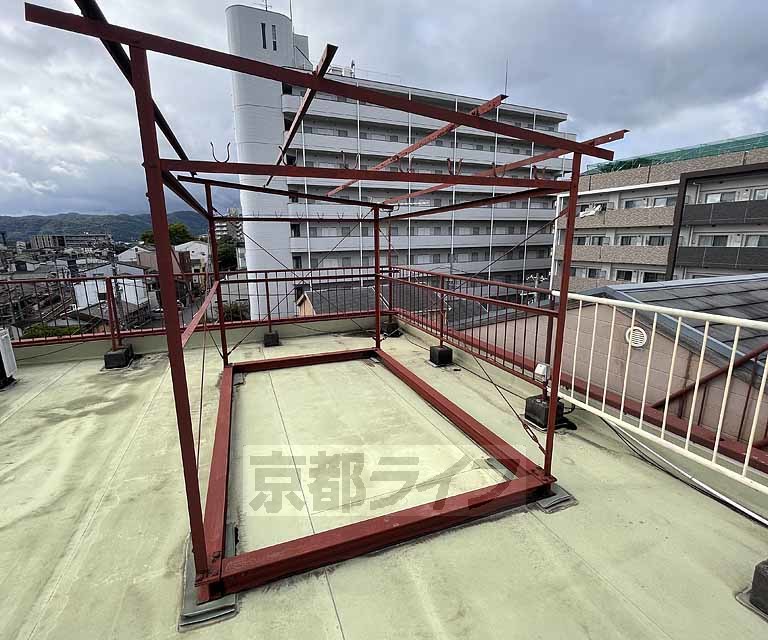 庭