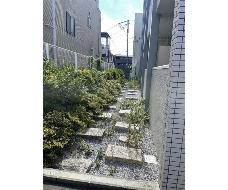 庭