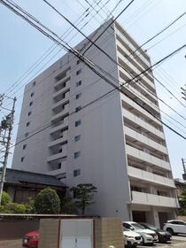 フォレストN