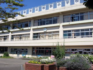小学校　調布市立柏野小学校（小学校）まで520m