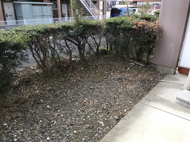 庭