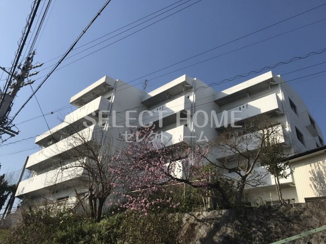 建物外観　外はこのようになっています