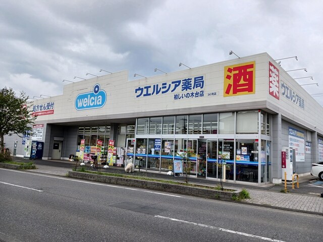 ドラックストア　ウェルシア（ドラッグストア）まで655m