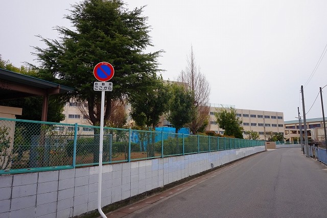 中学校　高槻市立冠中学校（中学校）まで734m