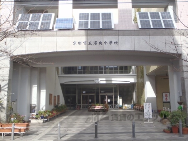 小学校　洛央小学校（小学校）まで700m