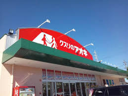 ドラックストア　クスリノアオキ 城北店（ドラッグストア）まで666m