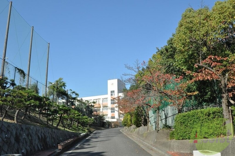 中学校　神戸市立横尾中学校（中学校）まで783m