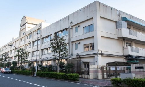 小学校　江東区立第三大島小学校（小学校）まで343m