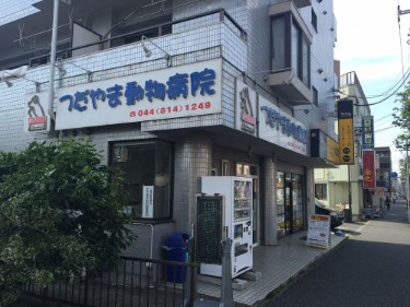 病院　つだやま動物病院（病院）まで443m