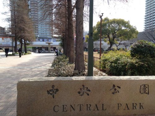 公園　中央公園（公園）まで590m
