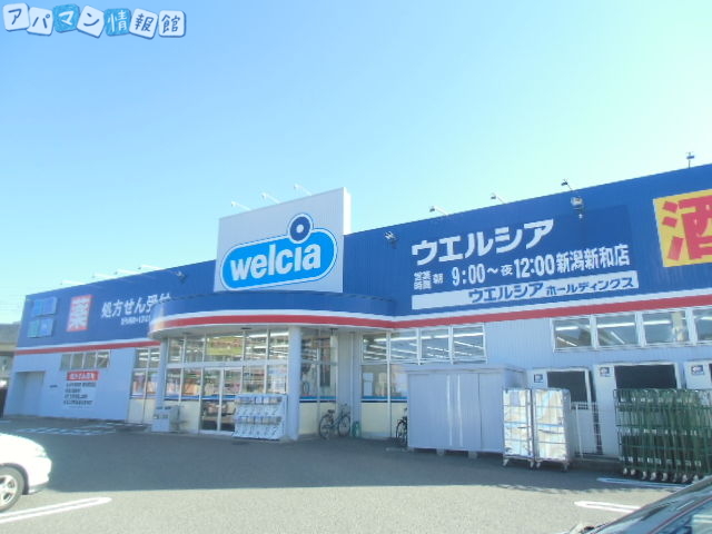 ドラックストア　ウエルシア新潟新和店（ドラッグストア）まで672m
