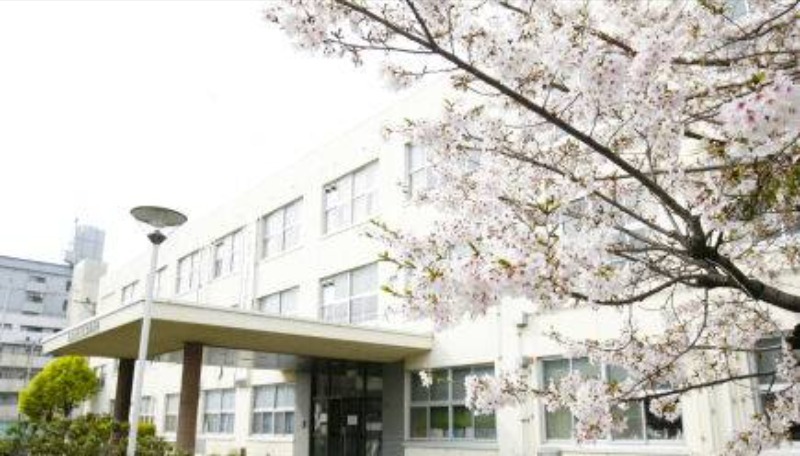 高校・高専　大阪府立成城高校（高校・高専）まで591m