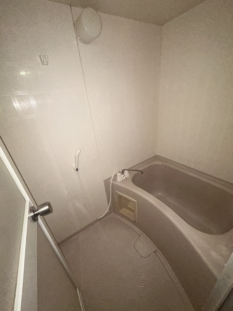 バス・シャワールーム　別部屋参考写真です