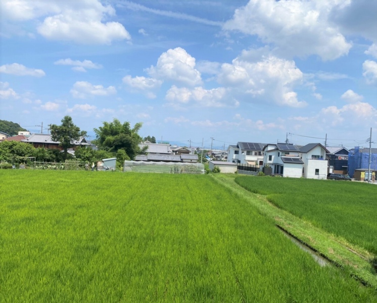 レオパレスセイフルのその他写真